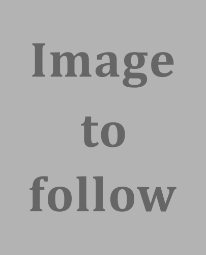 File:Blank image.png